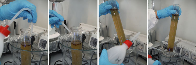 Microplastica anche in pesci ed invertebrati, lo conferma una ricerca Greenpeace/UNIVPM/ISMAR-CNR  