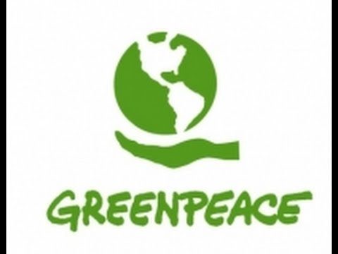 GREENPEACE: Terre degli Indigeni Amazzonia bruciano per traffico di legno illegale