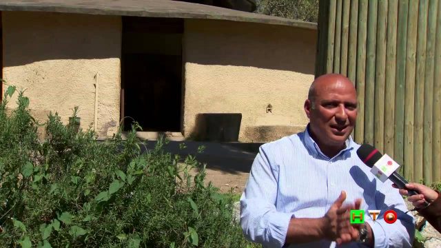 Al Bioparco di Roma è nata Amelia, Cammello della Battriana – www.HTO.tv