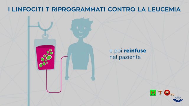 Terapia genica: cellule “riprogrammate” contro il tumore al Bambino Gesù – www.HTO.tv