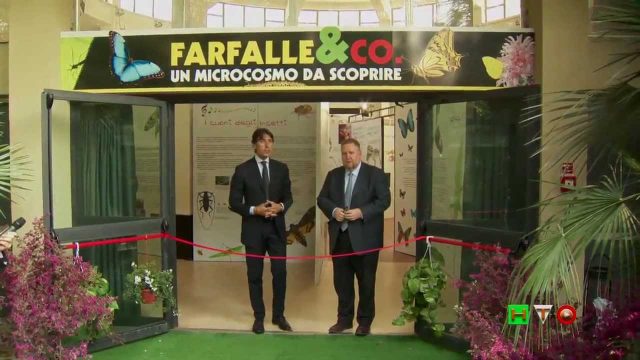 Farfalle & Co – Un Microcosmo da scoprire – www.HTO.tv
