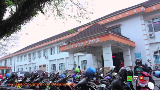 GREENPEACE: Indonesia, dopo i roghi foreste arrivano le piantagioni di Olio di Palma