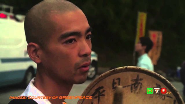 GREENPEACE – Giappone nega alla Rainbow Warrior di  investigare habitat Dugonghi