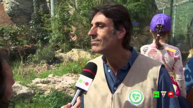 Al Bioparco di Roma è arrivata Tila, tigre di Sumatra – Intervista Federico Coccia – www.HTO.tv